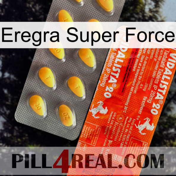 Eregra Super Force new01.jpg